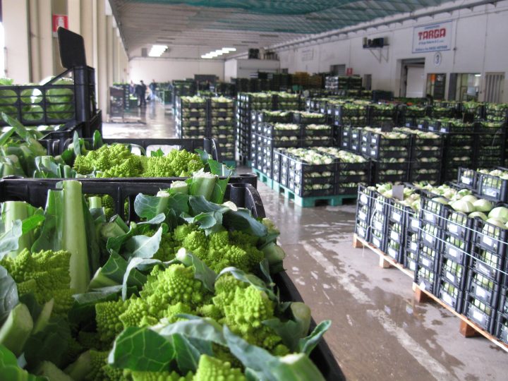 Andamento Commerciale del Mercato